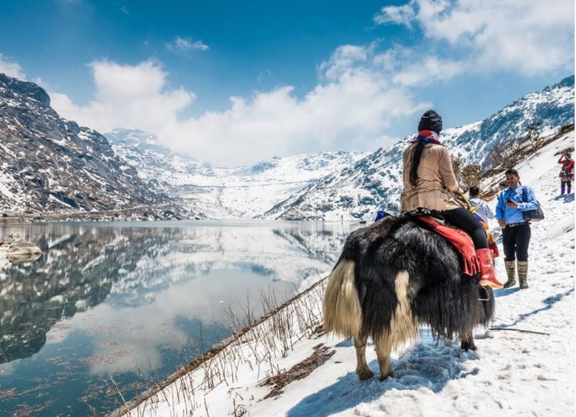 Tsongmo Lake Yak Ride 